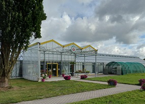 Celle 1